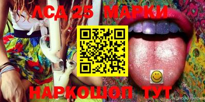 гидра Гатчина