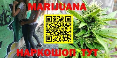 гидра Гатчина