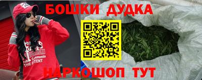 гидра Гатчина