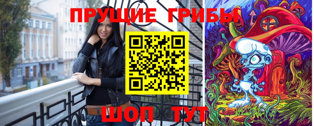 Галлюциногенные грибы Psilocybine cubensis Когалым