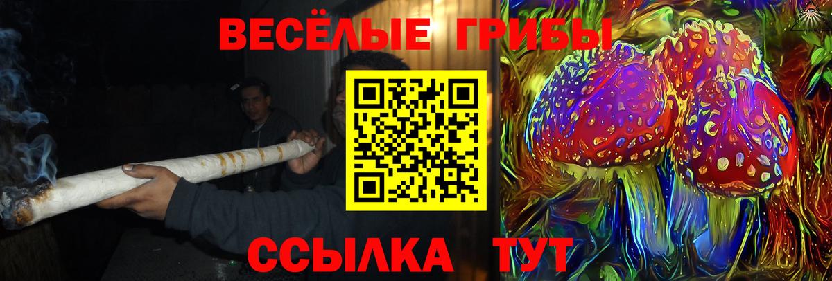 Когалым  сколько стоит  Вход с VPN  Галлюциногенные грибы MAGIC MUSHROOMS 