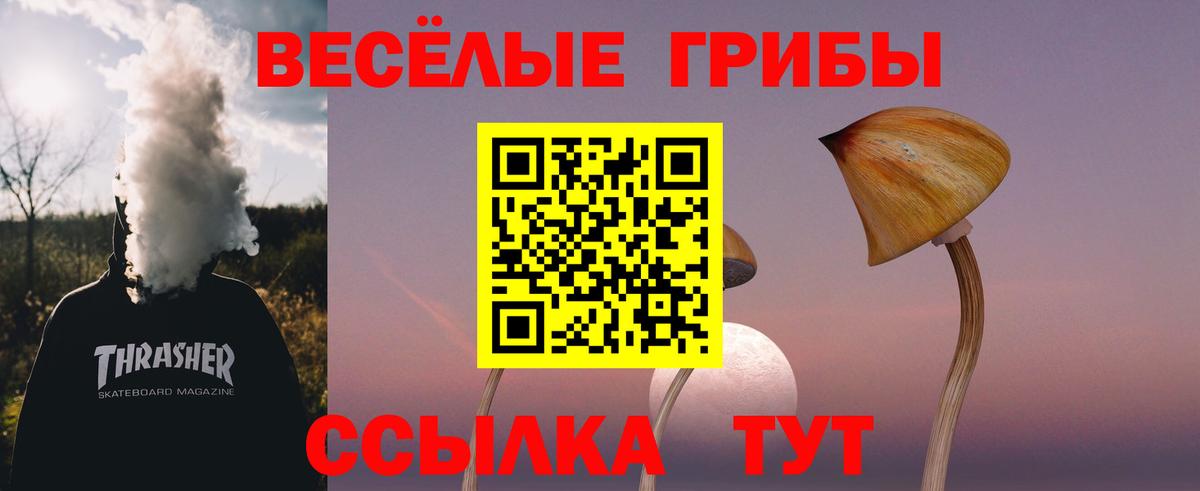 Псилоцибиновые грибы GOLDEN TEACHER  Когалым  Псилоцибиновые грибы Psilocybine cubensis 